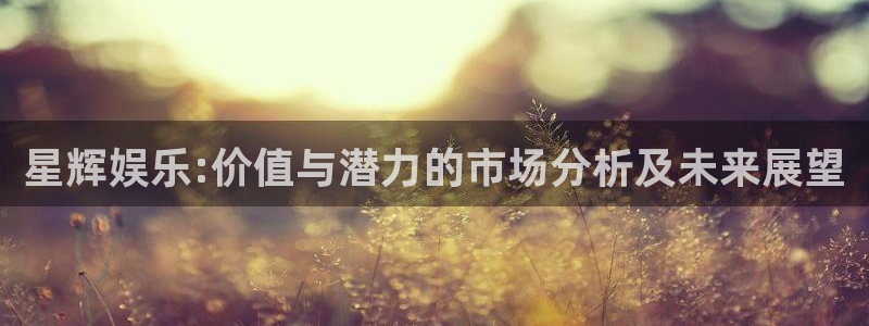 太阳成集团tyc9728：星辉娱乐:价值与潜力的市场分析及未来展望