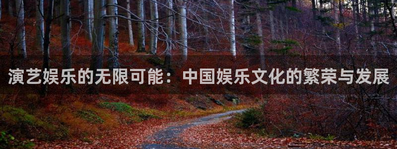 太阳成集团tyc9728：演艺娱乐的无限可能：中国娱乐文化的繁荣与发展