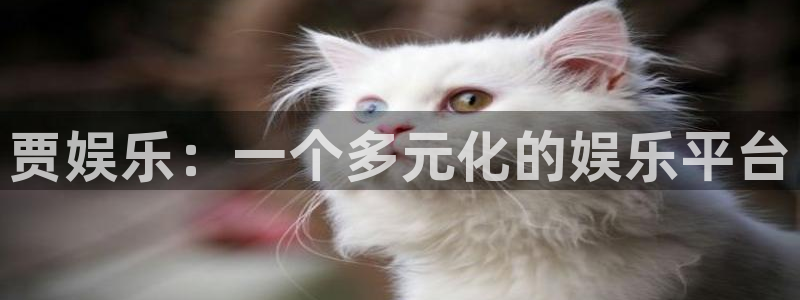 太阳成集团tyc9728：贾娱乐：一个多元化的娱乐平台