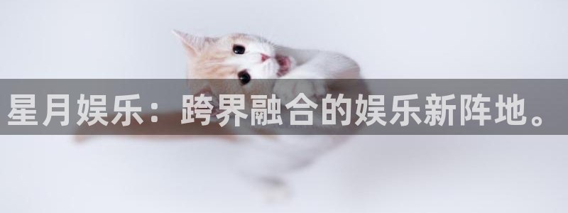 太阳成集团tyc9728：星月娱乐：跨界融合的娱乐新阵地。