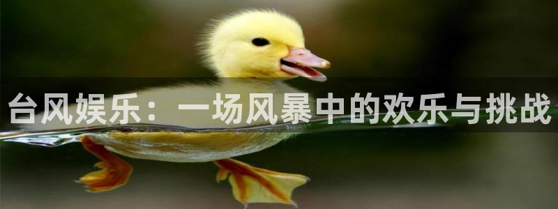 太阳成集团tyc9728：台风娱乐：一场风暴中的欢乐与挑战