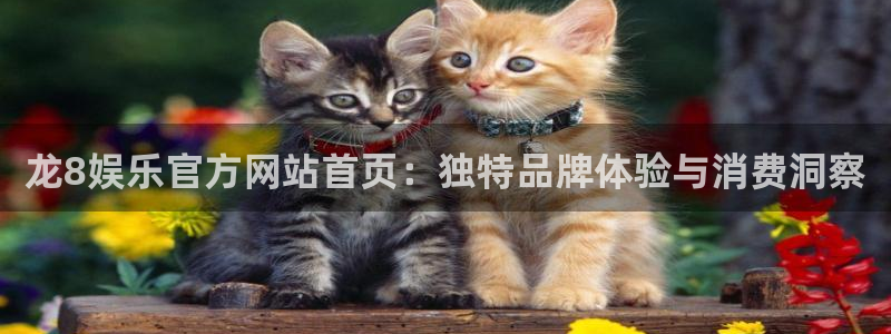 太阳成集团tyc9728