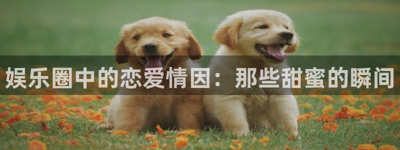 太阳成集团tyc9728：娱乐圈中的恋爱情因：那些甜蜜的瞬间