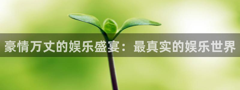 太阳成集团tyc9728：豪情万丈的娱乐盛宴：最真实的娱乐世界