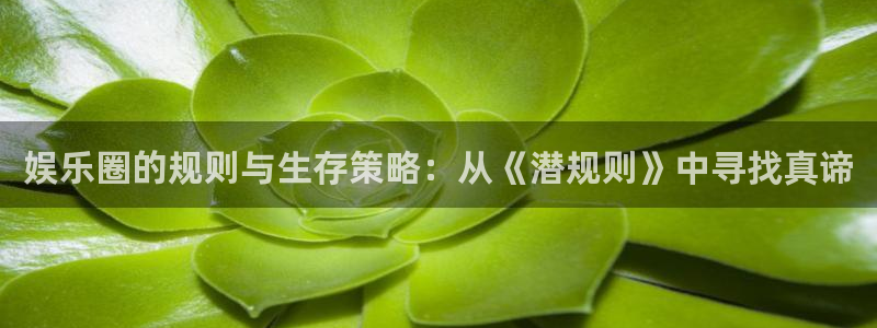 太阳成集团tyc9728