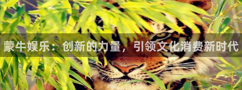 太阳成集团tyc9728：蒙牛娱乐：创新的力量，引领文化消费新时代