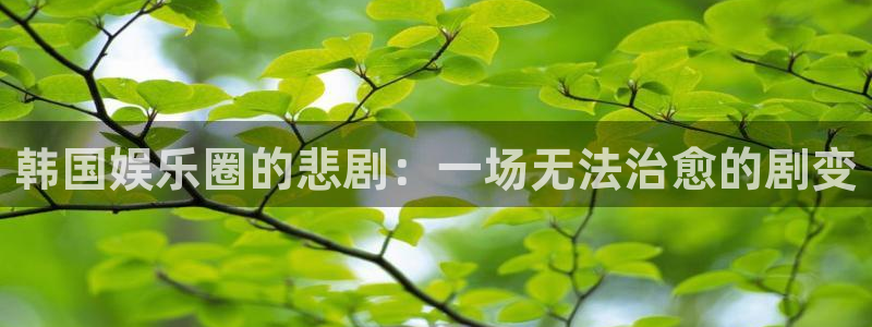 太阳成集团tyc9728：韩国娱乐圈的悲剧：一场无法治愈的剧变