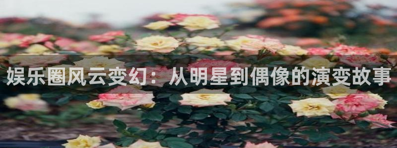 太阳成集团tyc9728：娱乐圈风云变幻：从明星到偶像的演变故事